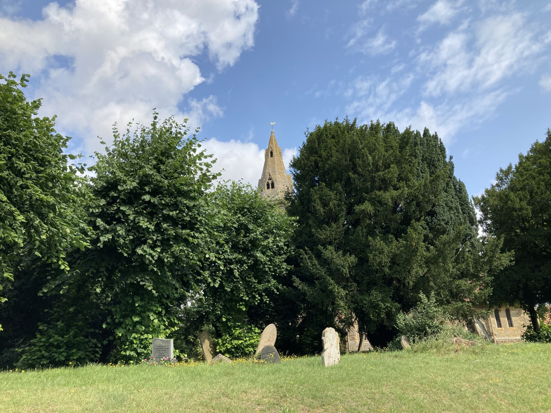A view from the cemetery to the church surrounded by trees showing only the top of the spire